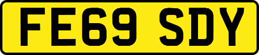 FE69SDY