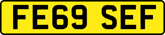 FE69SEF