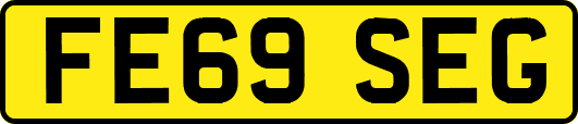 FE69SEG