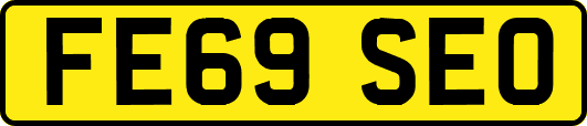 FE69SEO