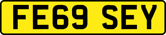 FE69SEY