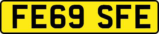 FE69SFE