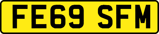 FE69SFM