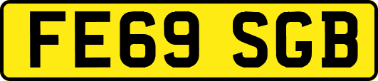 FE69SGB