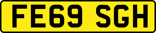 FE69SGH