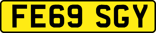 FE69SGY