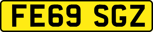 FE69SGZ