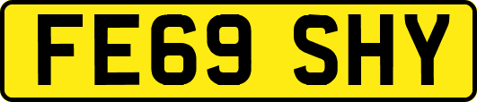 FE69SHY