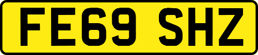 FE69SHZ