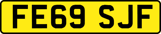 FE69SJF