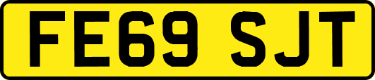 FE69SJT