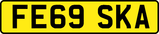 FE69SKA