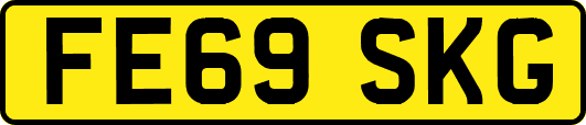 FE69SKG