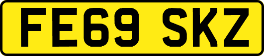 FE69SKZ
