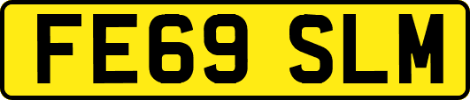 FE69SLM