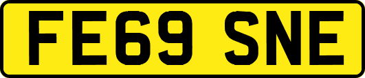 FE69SNE