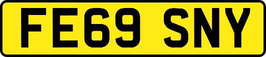 FE69SNY