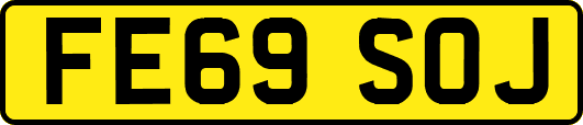 FE69SOJ