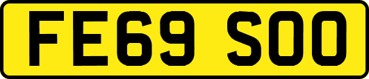 FE69SOO