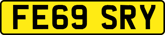 FE69SRY