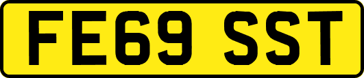 FE69SST