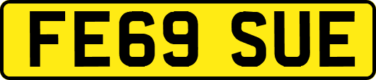 FE69SUE