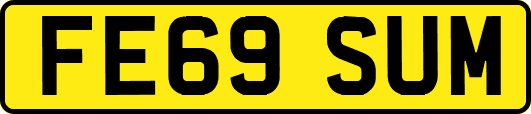 FE69SUM