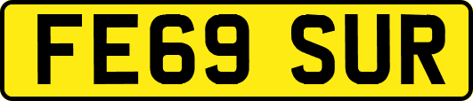 FE69SUR