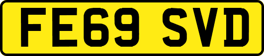 FE69SVD