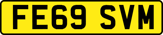 FE69SVM