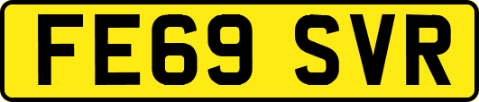FE69SVR