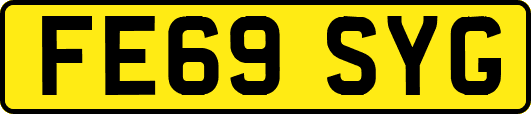 FE69SYG