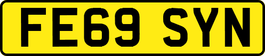 FE69SYN