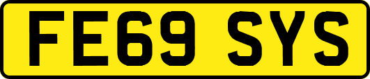 FE69SYS