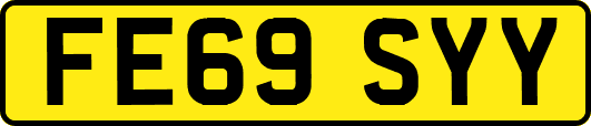 FE69SYY
