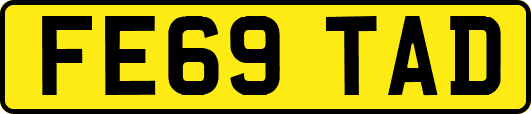FE69TAD
