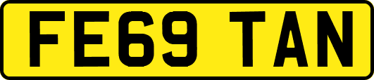 FE69TAN