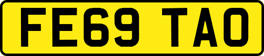 FE69TAO