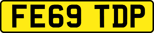 FE69TDP