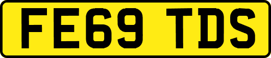 FE69TDS