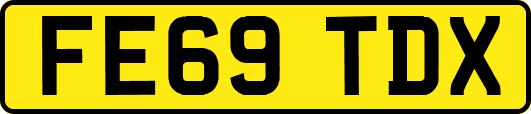FE69TDX