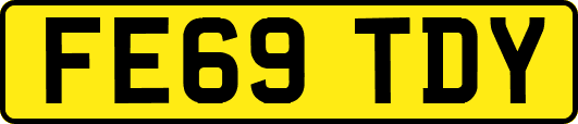 FE69TDY