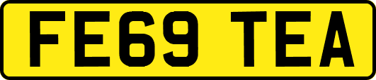 FE69TEA
