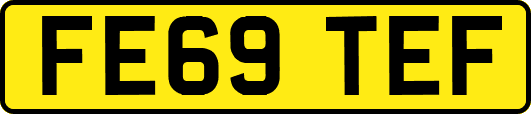 FE69TEF