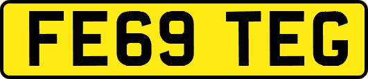 FE69TEG
