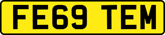 FE69TEM