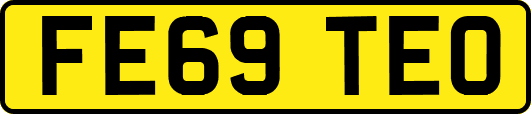 FE69TEO