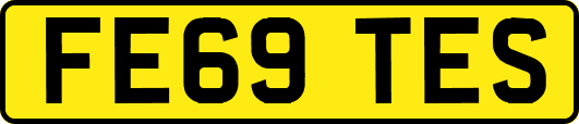 FE69TES