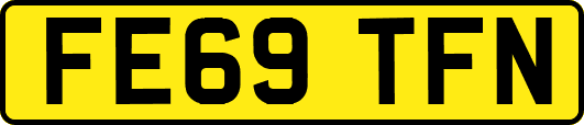 FE69TFN