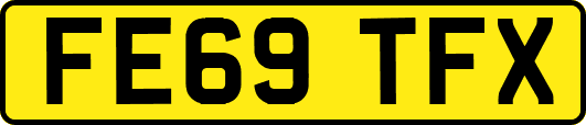 FE69TFX